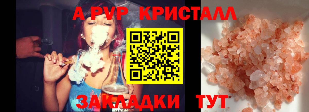 A PVP СК КРИС Ишим