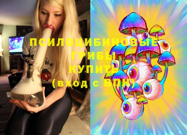 МДПВ Алексин