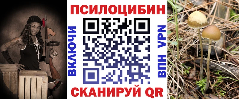 Галлюциногенные грибы прущие грибы  Ишим 
