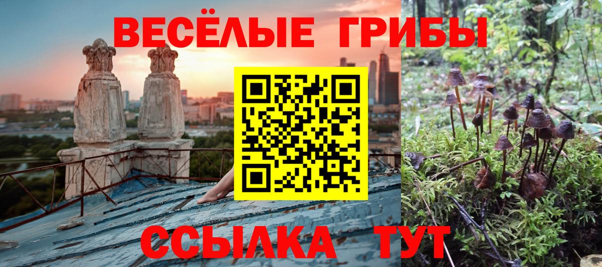 Галлюциногенные грибы MAGIC MUSHROOMS  Вход с VPN  Ишим  Галлюциногенные грибы прущие грибы 